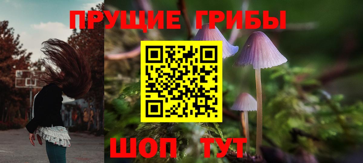 Галлюциногенные грибы мухоморы  цены наркотик  Арзамас  Псилоцибиновые грибы прущие грибы  Вход с VPN 